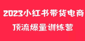 小红书电商爆量训练营，月入3W+！可复制的独家养生花茶系列玩法-九源吧网赚