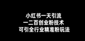 小红书一天引流一二百创业粉技术，可引全行业精准粉玩法-九源吧资源站