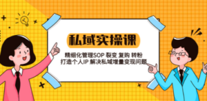 私域实战课程：精细化管理SOP 裂变 复购 转粉 打造个人IP 私域增量变现问题-九源吧资源站