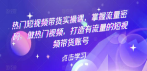 热门短视频带货实战 掌握流量密码 做热门视频 打造有流量的短视频带货账号-九源吧网赚