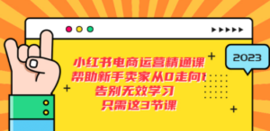 小红书电商·运营精通课，帮助新手卖家从0走向1 告别无效学习（7节视频课）-九源吧网赚
