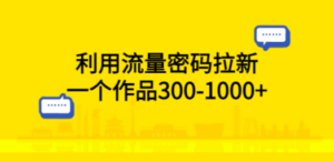 利用流量密码拉新，一个作品300-1000+-九源吧网赚