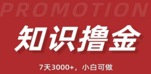 抖音知识撸金项目：简单粗暴日入1000+执行力强当天见收益(教程+资料)-九源吧网赚