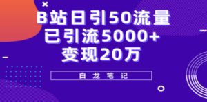 B站日引50+流量，实战已引流5000+变现20万，超级实操课程。-九源吧网赚