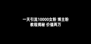 一天引流10000女粉，博主粉教程揭秘（价值两万）-九源吧网赚