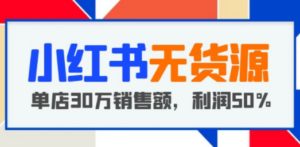 小红书无货源项目：从0-1从开店到爆单，单店30万销售额，利润50%，干货分享-九源吧网赚