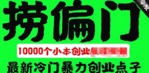 千款捞偏门小本创业小项目，总有一款适合你-九源吧资源站