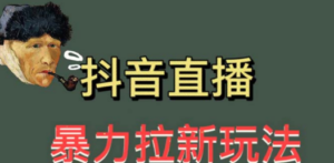 最新直播暴力拉新玩法，单场1000＋（详细玩法教程）-九源吧资源站