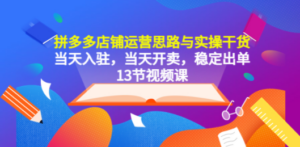 拼多多店铺运营思路与实操干货，当天入驻，当天开卖，稳定出单（13节课）-九源吧网赚学院