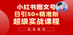 小红书图文号日引50+精准流量，超级实战的小红书引流课，非常适合新手-九源吧网赚