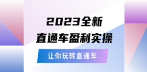 2023全新直通车·盈利实操：从底层，策略到搭建，让你玩转直通车-九源吧网赚