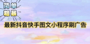 【简单粗暴】收费5980的最新抖音快手小程序掘金（详细教程）-九源吧资源站