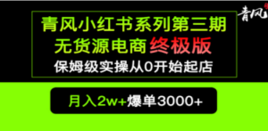 小红书无货源电商爆单终极版【视频教程+实战手册】保姆级实操从0起店爆单-九源吧网赚