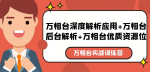 万相台实战训练课：万相台深度解析应用+万相台后台解析+万相台优质资源位-九源吧网赚