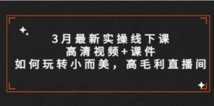 3月最新实操线下课高清视频+课件，如何玩转小而美，高毛利直播间-九源吧网赚