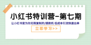 小红书特训营-第七期 让小红书变为你无限复制的/提款机 低成本引流快速出单-九源吧网赚
