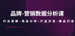 品牌-营销数据分析课，行业洞察-竞品分析-产品开发-爆品打造-九源吧网赚学院