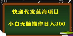 2023最新蓝海快递代发项目，小白零成本照抄也能日入300+-九源吧网赚