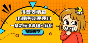 抖音表情包小程序变现项目，一条龙玩法详细大解析，视频版学习-九源吧网赚