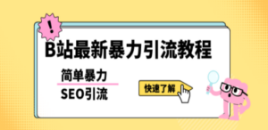 b站最新引流方法，暴力SEO引流玩法，一天可以量产几百个视频（附带软件）-九源吧网赚