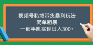 视频号私域带货暴利玩法，简单粗暴，一部手机实现日入300+-九源吧网赚