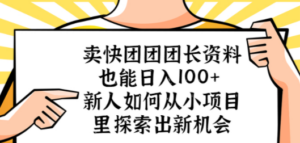 卖快团团团长资料也能日入100+ 新人如何从小项目里探索出新机会-九源吧资源站