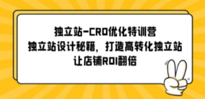 独立站-CRO优化特训营，独立站设计秘籍，打造高转化独立站，让店铺ROI翻倍-九源吧资源站