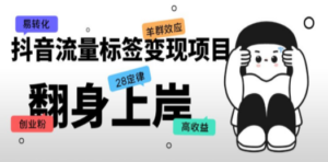 抖音流量标签变现项目，抖音创业粉轻松转化，单价高收益简单-九源吧网赚
