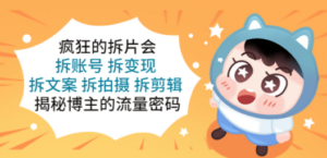 疯狂的拆片会：拆账号 拆变现 拆文案 拆拍摄 拆剪辑 揭秘博主的流量密码-九源吧网赚
