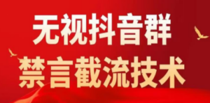 抖音粉丝群无视禁言截流技术，抖音黑科技，直接引流，0封号（教程+软件）-九源吧网赚