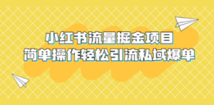 小红书流量掘金项目，简单操作轻松引流私域爆单-九源吧网赚