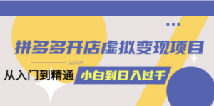 拼多多开店虚拟变现项目：入门到精通 从小白到日入1000（完整版）4月10更新-九源吧网赚