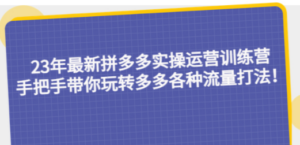 23年最新拼多多实操运营训练营：手把手带你玩转多多各种流量打法-九源吧网赚