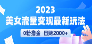 2023美女流量变现最新玩法，0粉撸金，日赚2000+，实测日引流300+-九源吧网赚