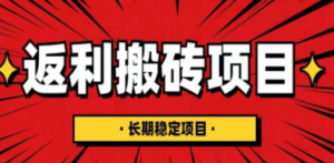 国外返利网项目，返利搬砖长期稳定，月入3000刀（深度解剖）-九源吧网赚学院