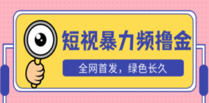 外面收费1680的短视频暴力撸金，日入300+长期可做，赠自动收款平台-九源吧网赚