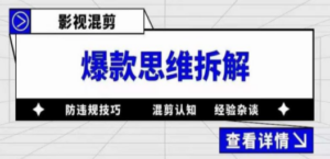 影视混剪爆款思维拆解 从混剪认知到0粉小号案例 讲防违规技巧 各类问题解决-九源吧网赚
