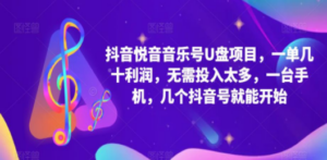 抖音音乐号U盘项目 一单几十利润 无需投入太多 一台手机 几个抖音号就开始-九源吧网赚学院