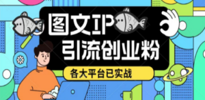 价值1688的ks dy 小红书图文ip引流实操课，日引50-100！各大平台已经实战-九源吧网赚