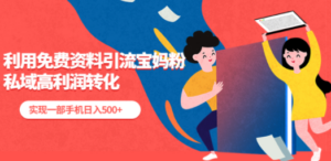 利用免费资料引流宝妈粉，私域高利润转化，实现一部手机日入500+-九源吧网赚
