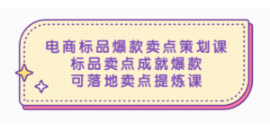 电商标品爆款卖点策划课，标品卖点成就爆款，可落地卖点提炼课-九源吧网赚