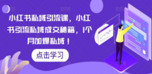 小红书私域引流课，小红书引流私域成交秘籍，1个月加爆私域-九源吧网赚
