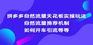 拼多多自然流量天花板实操玩法：自然流量推荐机制，如何开车引流-九源吧网赚