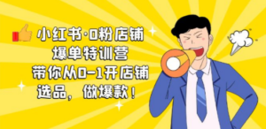 小红书·0粉店铺爆单特训营 带你从0-1开店铺，选品，做爆款（课程+工具包）-九源吧网赚