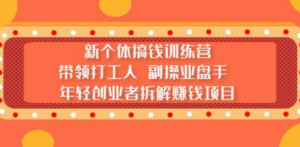 新个体搞钱训练营：带领打工人 副操业盘手 年轻创业者拆解赚钱项目-九源吧网赚学院