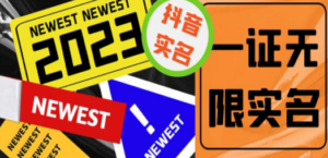 最新抖音一证无限实名技术 无视限制封禁【详细玩法视频教程】-九源吧网赚