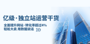 亿级·独立站运营干货：全面提升网站·转化率超过4%，轻松大卖 用数据说话-九源吧网赚