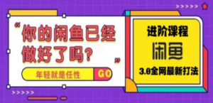 火爆全网的咸鱼玩法进阶课程，单号日入1K的咸鱼进阶课程-九源吧网赚