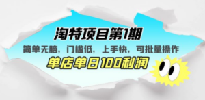 淘特项目第1期，简单无脑，门槛低，上手快，单店单日100利润 可批量操作-九源吧网赚
