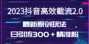 日引300＋创业粉，独家抖音高效截流2.0玩法-九源吧网赚